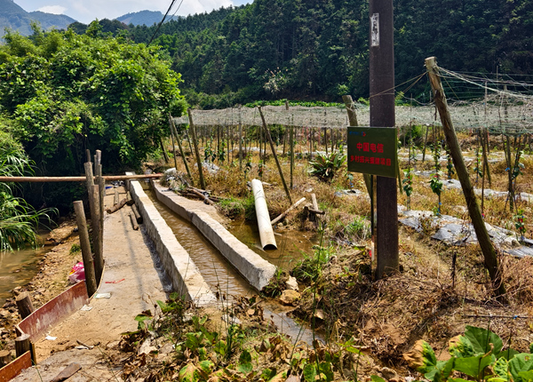 大宁镇忠福村拦水坝与引水灌渠
