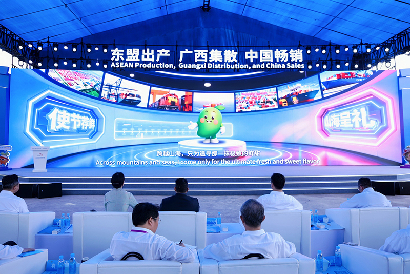 活动现场。主办方供图