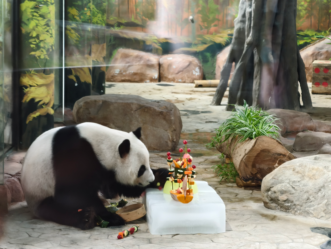 粽叶飘香迎端午萌兽“食”刻趣翻天(图1)