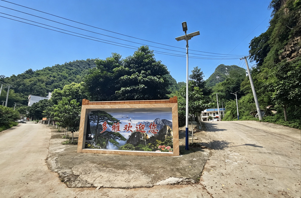 精致的入屯小景观