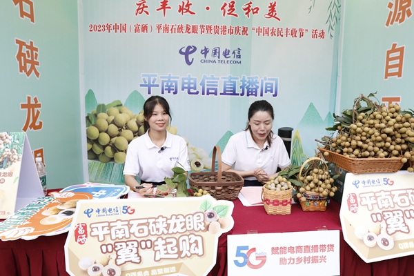 三十而立启新程贵港电信数智织锦耀荷城(图4)