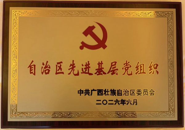圖為河池市人民醫院急診科黨支部榮獲 “自治區先進基層黨組織”稱號