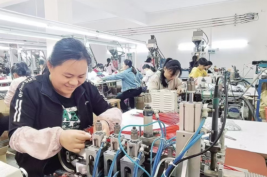 村民在轻工小微企业车间务工