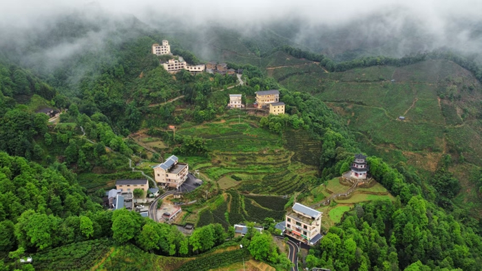 云雾缭绕的山坪村