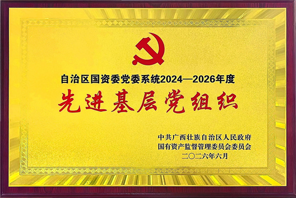 荣获自治区国资委党委系统“先进基层党组织”称号。刘艳艳供图