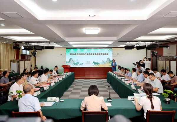 交流会现场。主办方供图