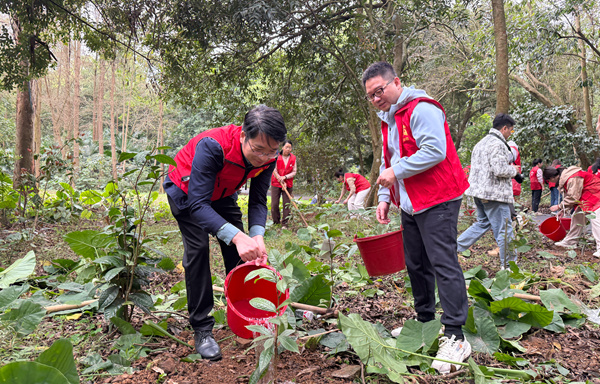黨支部義務植樹