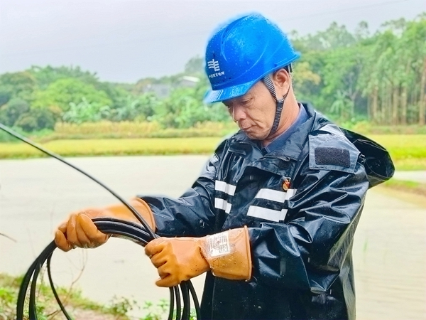 欽州靈山供電局檀圩供電所搶修人員對欽州市靈山縣那隆鎮峽嶺村委清竹村樹木壓倒導線進行應急處置。王麗攝