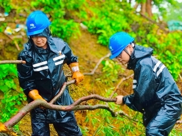 欽州靈山供電局檀圩供電所搶修人員正在對樹木壓斷導線開展應急處置。王麗攝