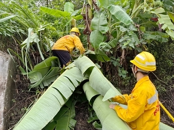 南寧供電段職工正在清理沿線危樹。宿雨鴿攝