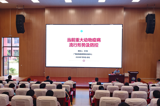 授课现场。李婉墨摄