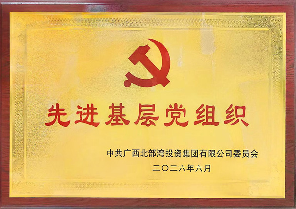 先进基层党组织奖牌