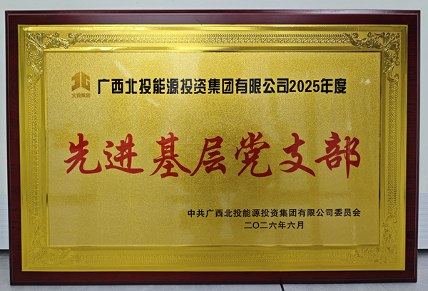 南新公司党支部荣获北投能源集团2025年度先进基层党支部