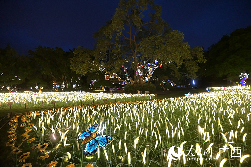 南寧動物園夜花園燈光景觀。人民網記者 雷琦竣攝