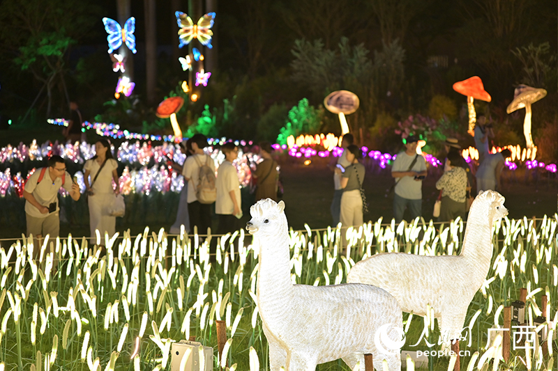 南寧動物園夜花園燈光景觀。人民網記者 雷琦竣攝