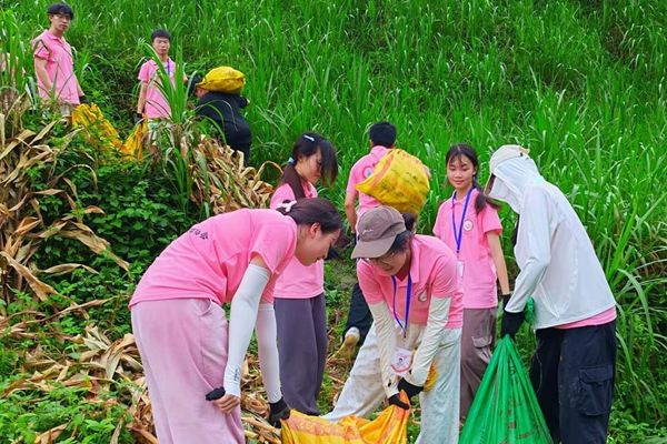 实践团田间地头帮助农户采收玉米