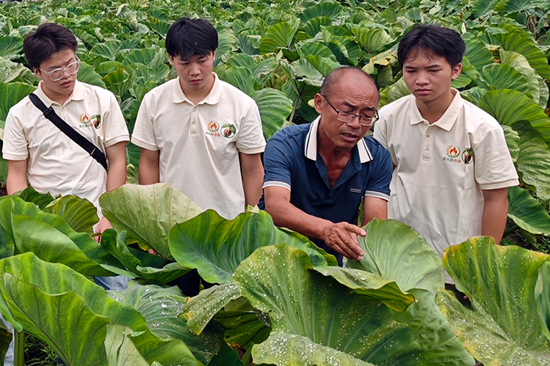 專家指導現場。覃王吉攝