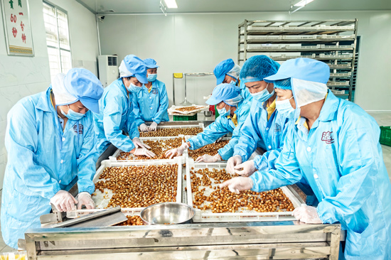 广西涛涛生态农业科技有限公司标准化生产车间内，工人有序忙碌。