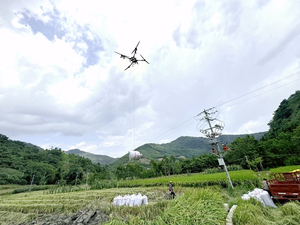 天空植保无人机搬运稻谷。