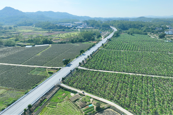 省道206线平山至陆落段公路改建工程玉林市陆川县乌石镇路段。黄红梅摄
