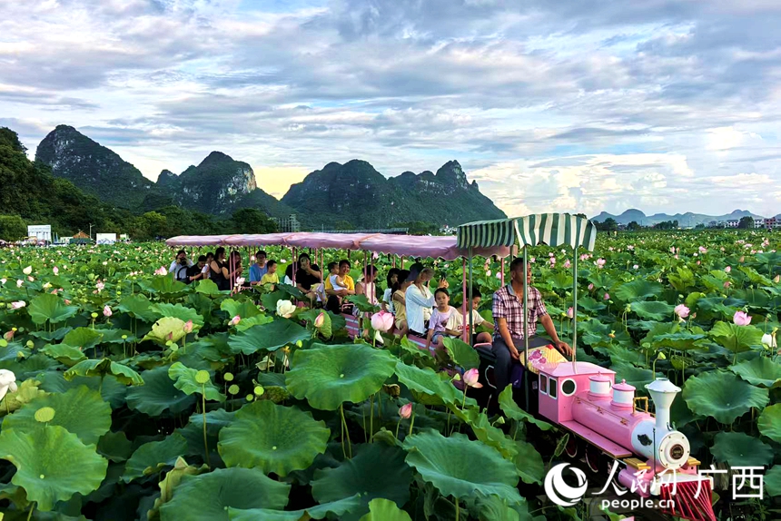 游客穿行荷塘，感受荷花之美。人民网记者 覃心摄