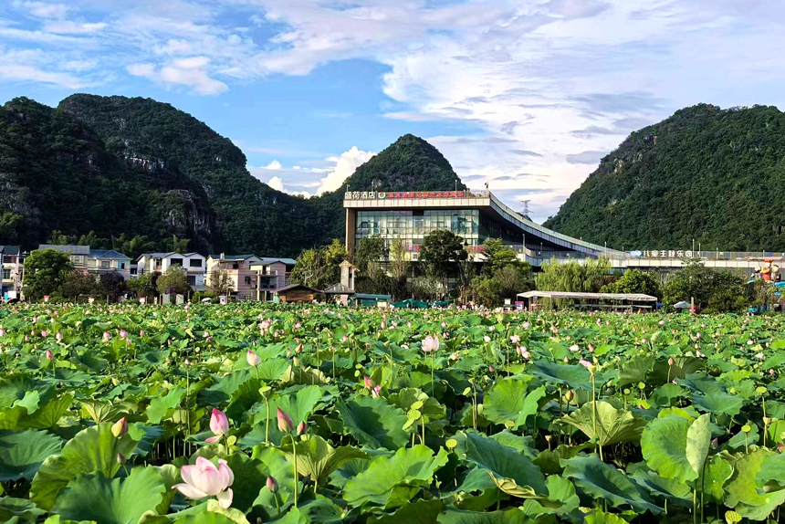 柳江区推动农文旅深度融合。人民网记者 覃心摄