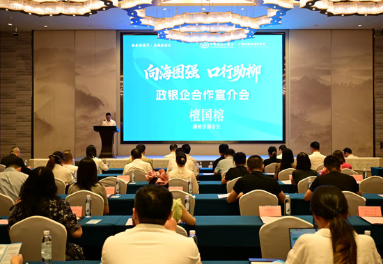 宣介会现场。进出口银行广西分行供图