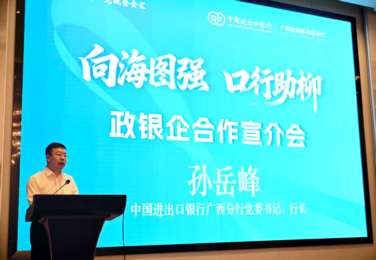 宣介会现场。进出口银行广西分行供图