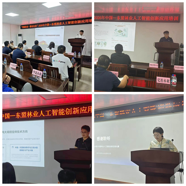技术分享。大赛组委会供图