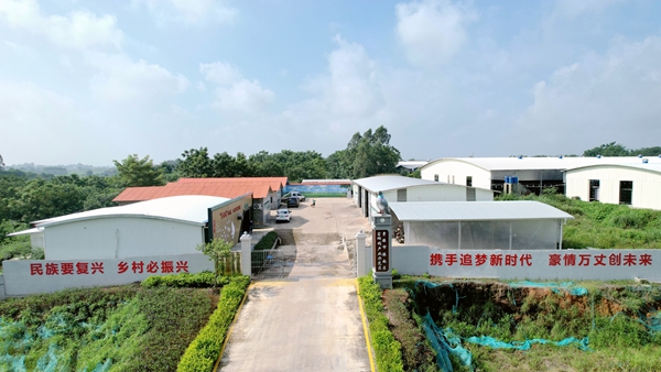 港南区湛江镇云柳村吉丰肉鸽养殖示范基地航拍。港南区融媒体中心供图）.jpg