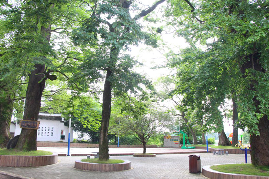 莲塘村古树广场