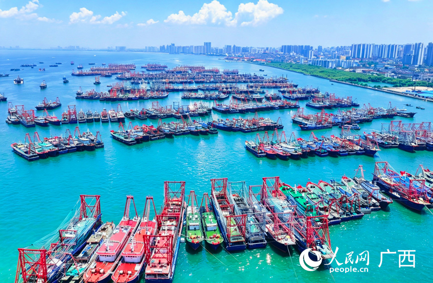 海城区外沙锚地的渔船整齐列阵。