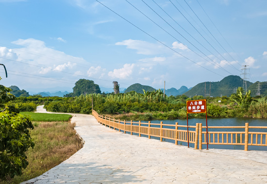 八分榨村步道小景。