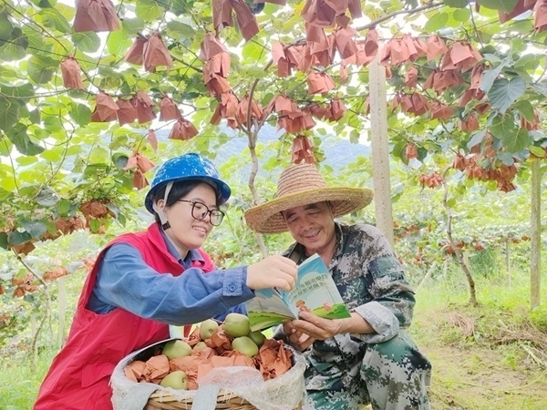 志願者向果農宣傳安全用電常識。