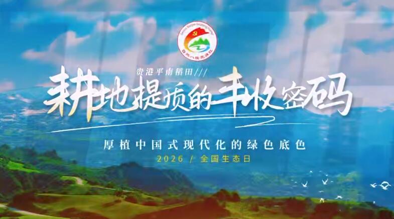 贵港平南稻田解锁耕地提质丰收密码