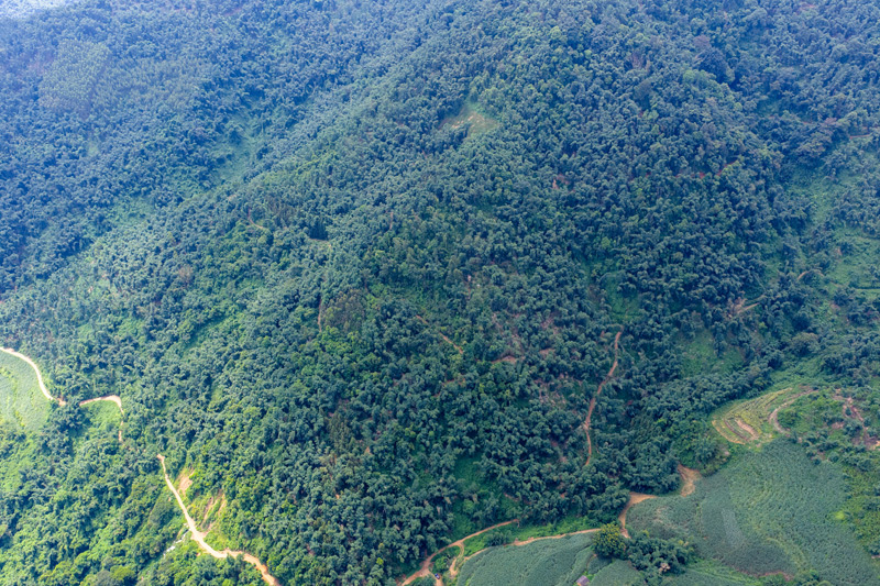八渡笋种植基地。杨啟建摄