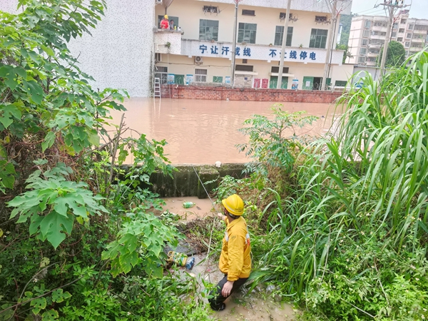 職工正在涉水運送電纜。謝志君攝