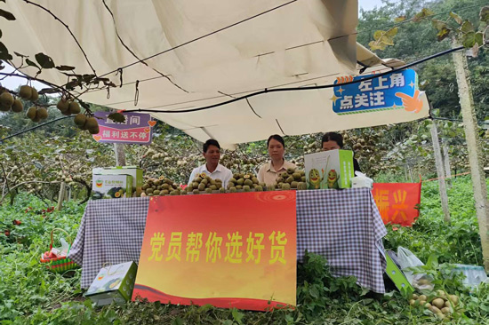 “书记带货·技能检验”直播打擂活动推介猕猴桃现场。花坪镇人民政府供图1