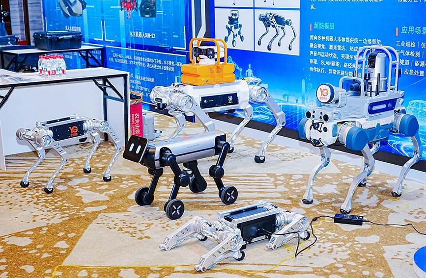 参展展品。主办方供图