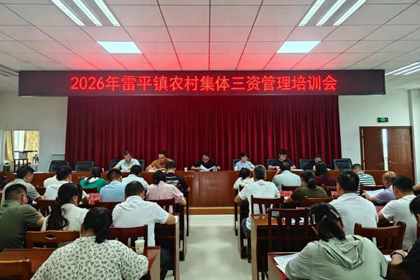 2026年雷平镇农村集体三资管理培训会现场。