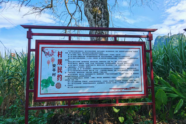 安平村村规民约清廉文化宣传栏。