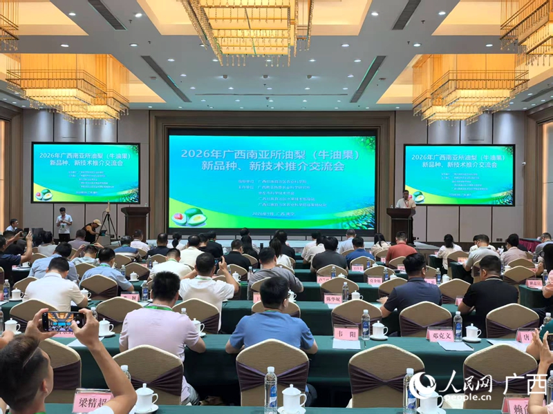 会议现场。人民网记者 覃心摄