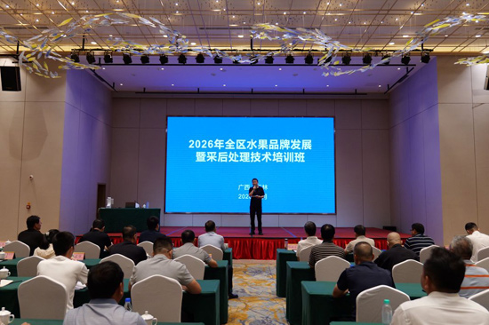 培訓現場。自治區水果技術指導站供圖