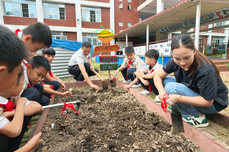 老师和家长一起指导学生进行翻土、播种。韦铖摄