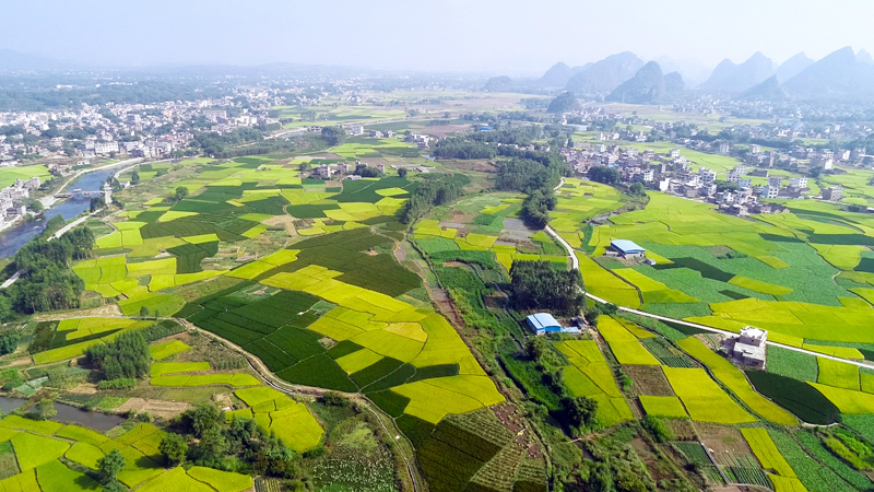小涼河糧食產業示范區一景。