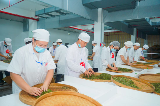 比賽現場。張慶儀攝