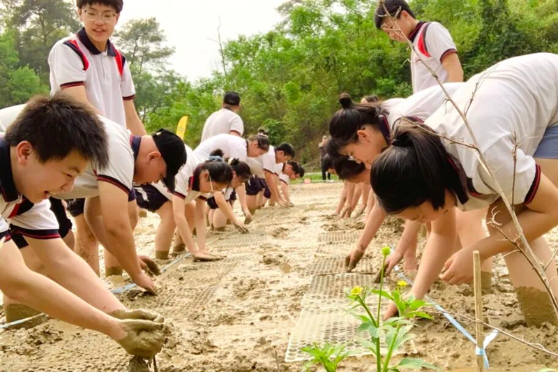 十五中开展各式各样的劳动实践课程。柳州市第十五中学供图