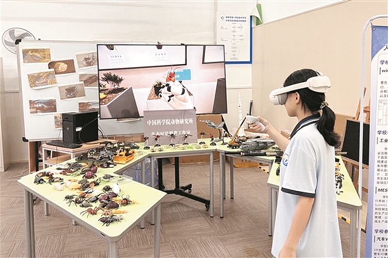 学生在进行“虚拟昆虫博物馆”效果测试。柳一职供稿