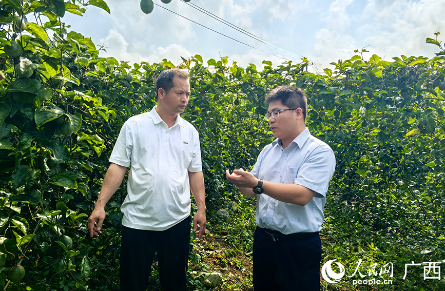 郵儲銀行工作人員向種植戶了解相關情況。人民網記者 付華周攝