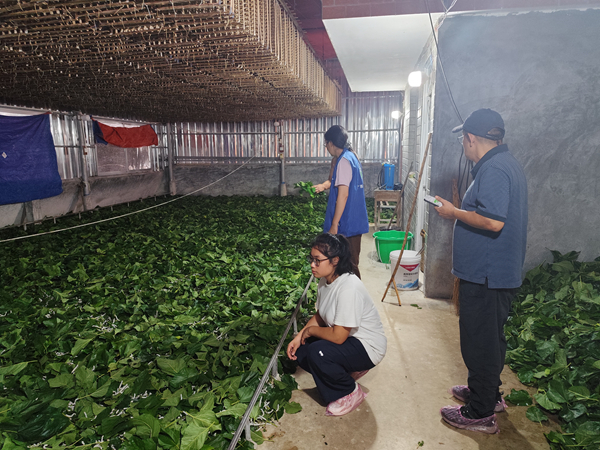 兴华村回访示范户新技术使用效果